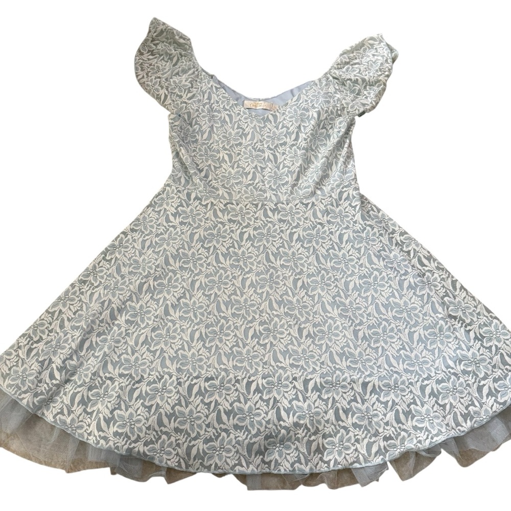 Disney Cinderella Adult Light Blue Floral Lace Fit & Flare Dress XL - Picture 2 of 10